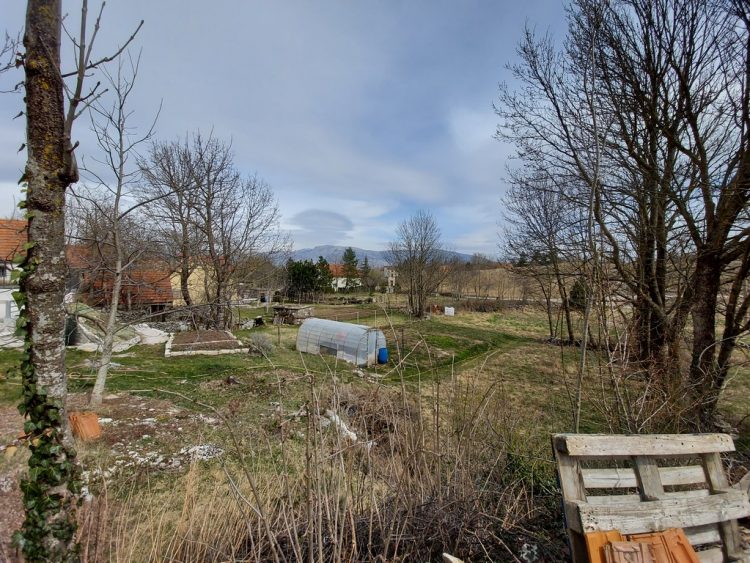 Samsung Galaxy S10 Lite Fitur Kelebihan Spesifikasi  Harga