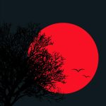 Top 5 Wallpapera